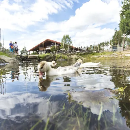 Hotel Trolltun & Dombås