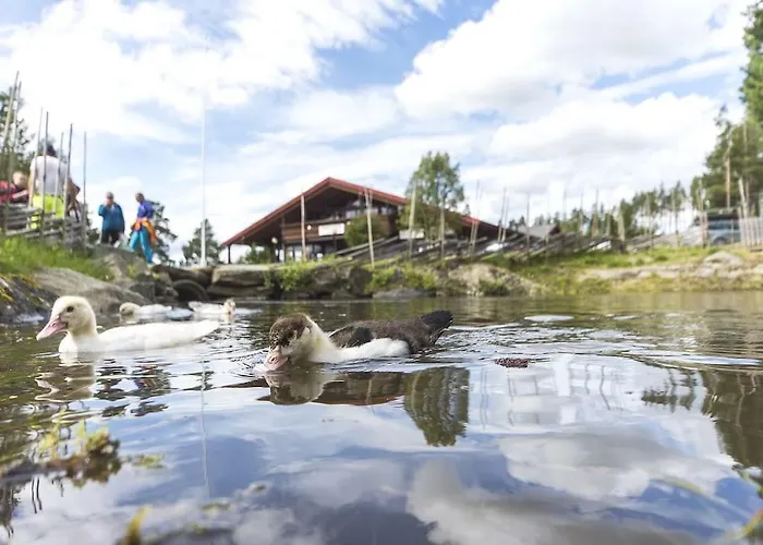 Trolltun & Dombås