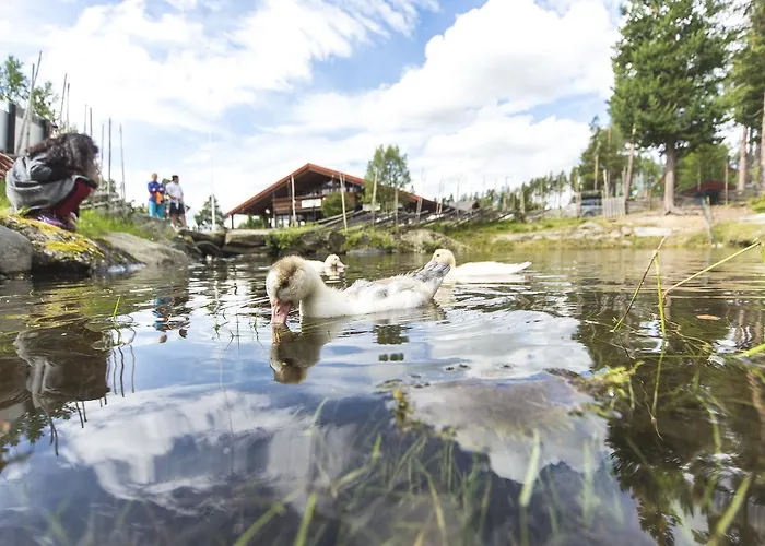 Hotel Trolltun & Dombås