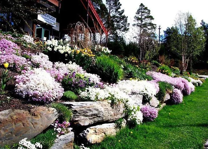 Hotel Trolltun & Dombås